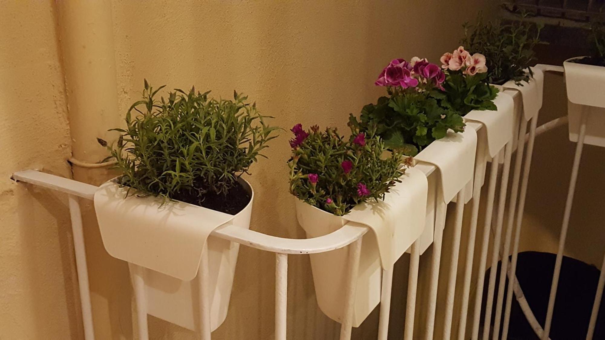 נאפולי Gennarino'S Home מראה חיצוני תמונה